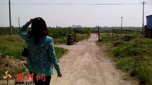 韦庄镇安监站长和记者一同前往事故现场