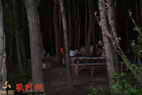 烧烤进行时