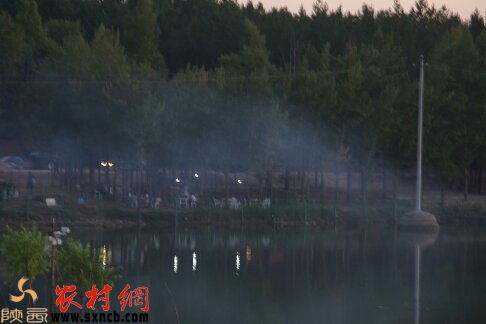 烧烤进行时