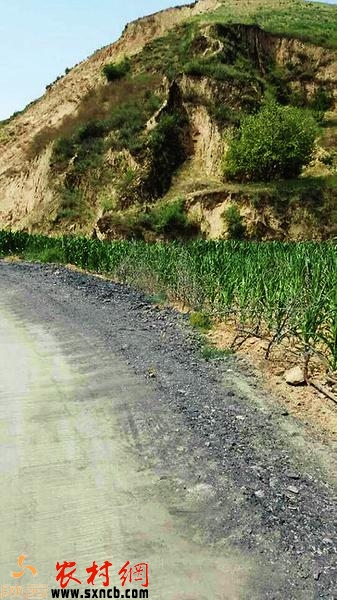 水泥路两侧倒满了煤渣和煤矸石