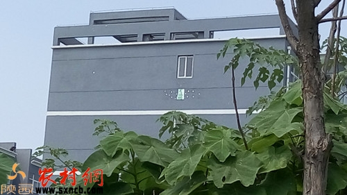保障性住房上的西字清晰可见
