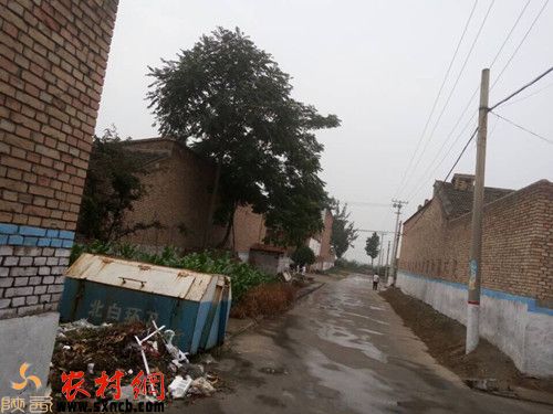 随处可见垃圾堆放