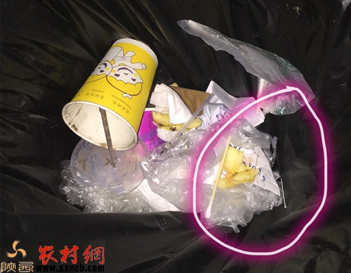 ۿɫͰСϸ